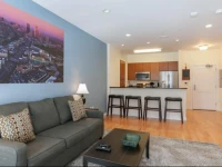 Evolve Fenway Diamond