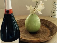 Comfortable Brooklyn Apartment