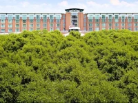 The Chattanoogan Hotel