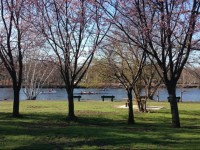 The Holman Property Unit #1