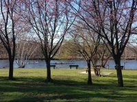 The Holman Property Unit #1