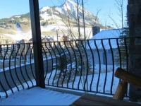 Chateaux by Crested Butte Lodging