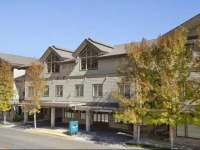 Homewood Suites by Hilton Jackson