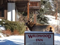 Wildwood Inn