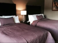 Hotel Del Sol, Boutique Phoenix Airport