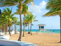 Tropical Oasis Condos