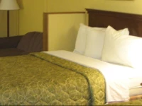 Ramada Franklin/Cool Springs