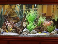 Quality Inn & Suites Beachfront