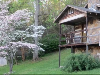 Brevard Inn and Cabins 1*
