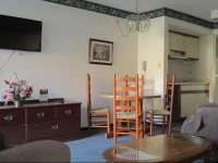 Condo 103 at Olde Gatlinburg Place