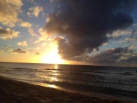 Studio Ocean View Waikiki