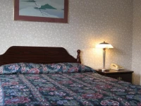 Airport Motel - Inglewood