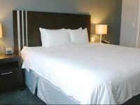 Wyndham Garden Long Island City / Manhattan View Hotel