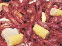 Fairfield Inn & Suites by Marriott Lafayette South