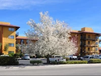 Oxford Inn & Suites Lancaster