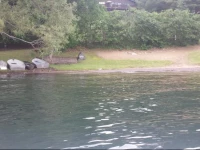 Cramers Point Motel & Cottages