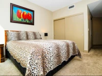 Hollywood Carina Apartment