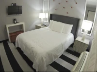 Hollywood Le Bon Hotel