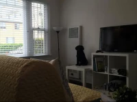 Heart of Hollywood 4