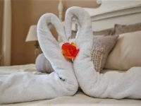 Pool Side Tree House