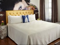 Room Mate Lord Balfour