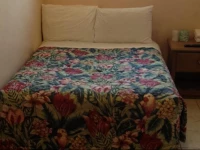 Collins Avenue Hostel