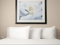 Congress Hotel South Beach