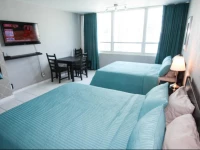 Miami Beach Apartments by Mia Rentals