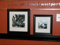 Hampton Inn St. Louis - Westport