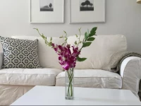 Studio Apartment - 39th Street