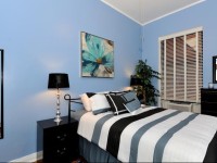 Two Bedroom Apartment - Madison Avenue