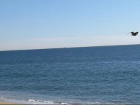 Three Bedroom Duplex on the Beach with Ocean View 4*