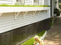 Vanessa Noel Hotel Green