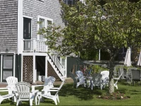 Nantucket Periwinkle