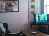 Signature Suites at Elliston23