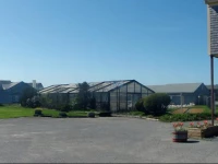 Beachfront White Sands