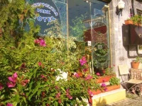 Cosmopolitan Park Hotel Istanbul 2*