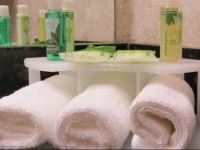 Holiday Inn Express Hotel and Suites Orange