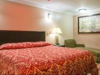 Sky Palm Motel - Orange