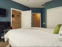 Luxury Vista Apartment Three Bedroom Townhome 3062