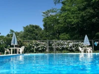 Olde Tavern Motel and Inn