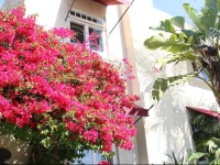 The Bed & Breakfast Inn at La Jolla