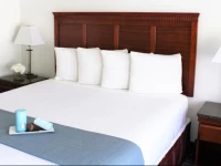 Pacific Inn and Suites-Convention Center-Gaslamp-Seaworld