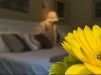 Cornell Hotel de France