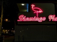 The Flamingo Motel