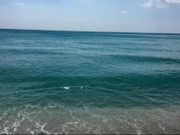 Miami Luxury Rents LLC.