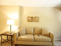 Downtown Waterfront Condos