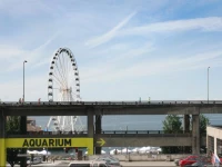 Pikes Place Suites by Barsala