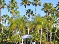 Twin Palms at Siesta