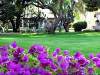 SmokeTree Resort and Bungalows